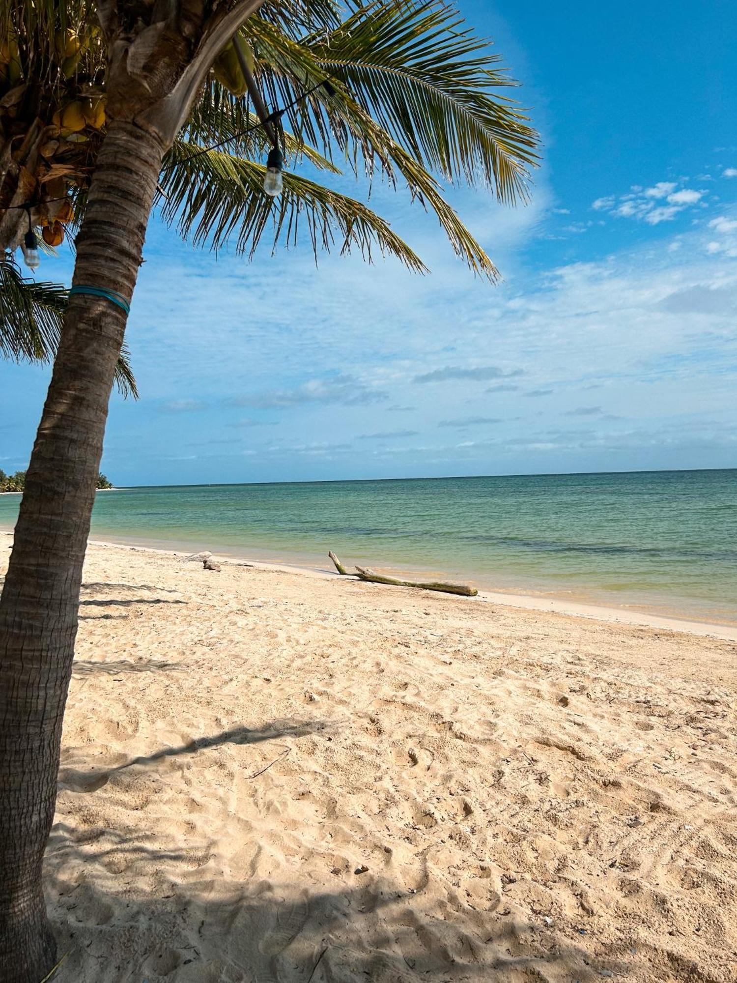 Вилла Pronoia Casa De Playa Махауаль Экстерьер фото