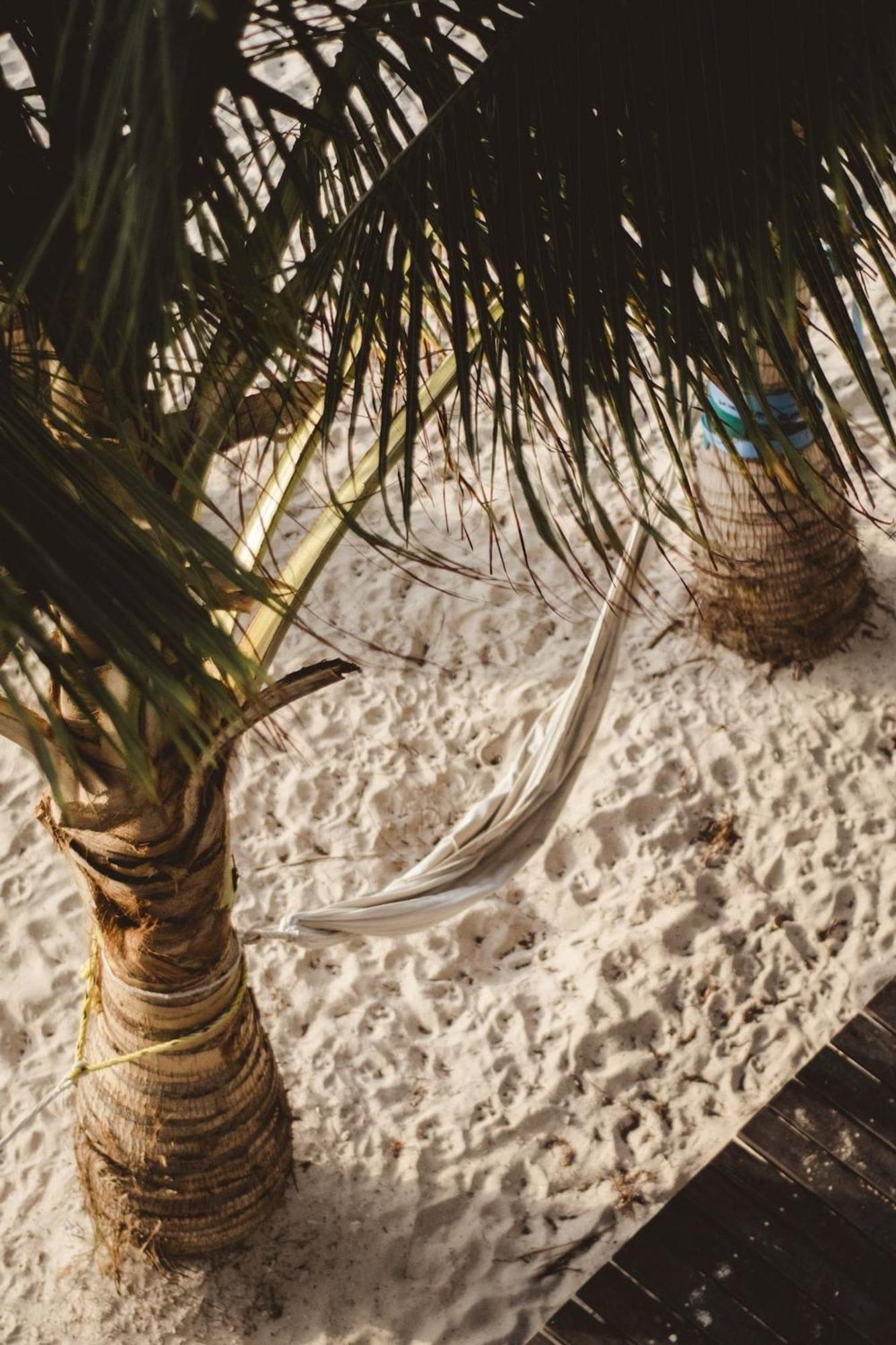 Вилла Pronoia Casa De Playa Махауаль Экстерьер фото